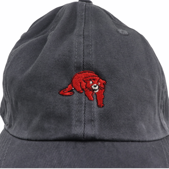 Cincinnati bearcats hats shop